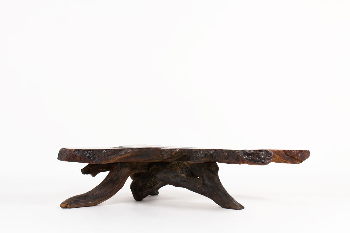 Coffee table in rosewood root brutalist design 1950