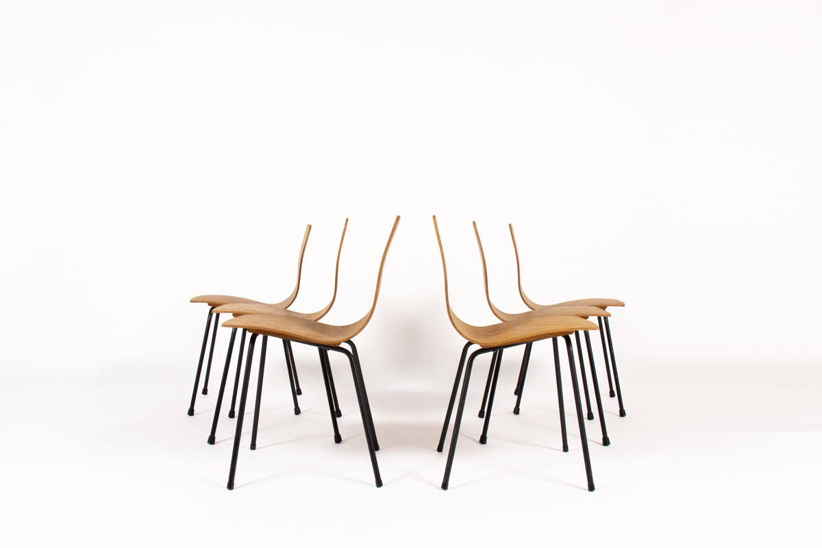 Pierre Guariche chairs model Papyrus edition Steiner 1950 set of 6