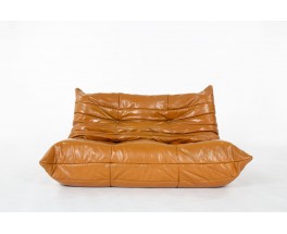 Set of Togo by Michel Ducaroy edition Ligne Roset 1970